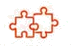 Tailored Project Strategies